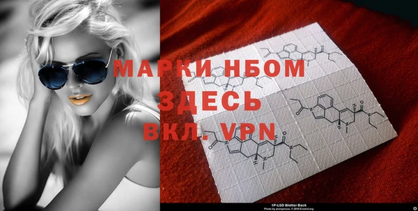 индика Заводоуковск