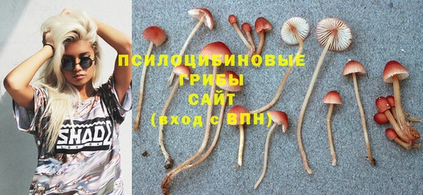 прущая мука Сафоново