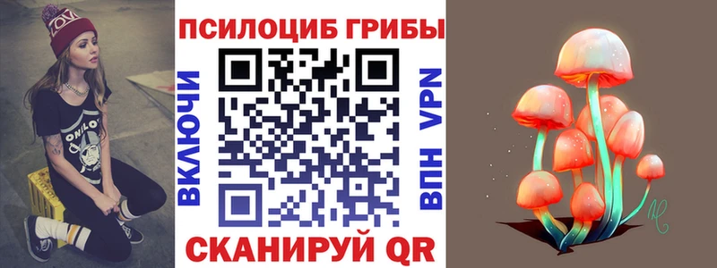 кракен ONION  darknet официальный сайт  Трубчевск  Псилоцибиновые грибы прущие грибы  купить наркотики цена 